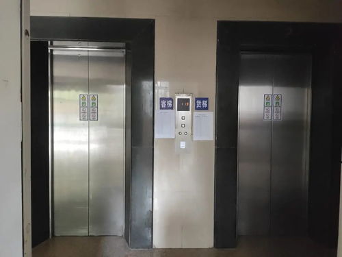 教育省心 軌交便捷 塘橋板塊東方匯景苑中等戶型電梯房深度測評(píng)